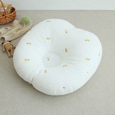 순성듀클빌리-추천-상품