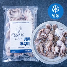 바이오션 주꾸미 (냉동), 500g(10~15마리), 1개