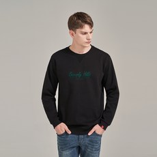 비버리힐스폴로클럽에너지