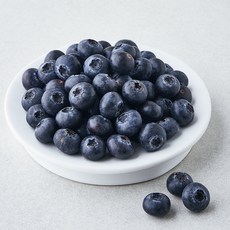 제이드가든 국내산 블루베리, 300g, 1개