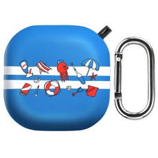 버즈2노티드케이스