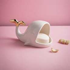 악세사리트레이