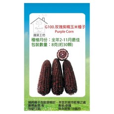 蔬菜工坊 玫瑰紫糯玉米種子 G100 8g, 30個