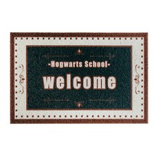 크리시 현관 미끄럼 방지 발매트 DT125, 타입2