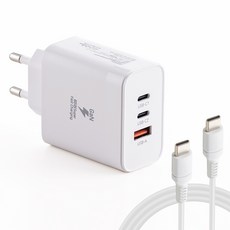 플라이토 GaN 65W PD 초고속 멀티 충전기 3포트 + C to C 케이블 세트, 화이트, 1세트