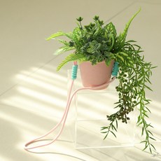 人工懸掛植物M, 1個, 棉花糖
