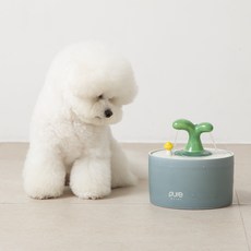 중고생수통정수기