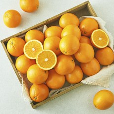 미국산 네이블 오렌지, 1개, 5kg(소과) 1개, 5kg(소과)