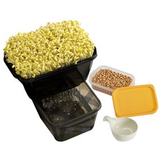 EASY&FREE 豆芽菜培植容器 6入1組，PP塑膠材質，耐熱60°C，韓國產, 1組
