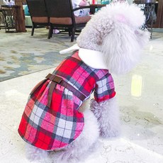 651372cc031f4c9a9ff513b905a42d43.jpg