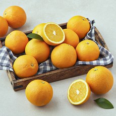 호주산 H앤B 오렌지, 1개, 2.5kg