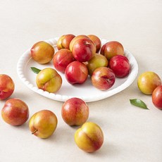 효성팜 새콤달콤 자두