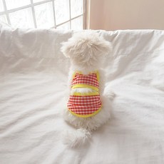 그루밍독멍키니수영복solors