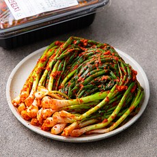 선농원 실비파김치, 400g, 1개