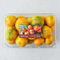 가족 당도선별 10brix 감귤, 1.5kg(로열과), 1개