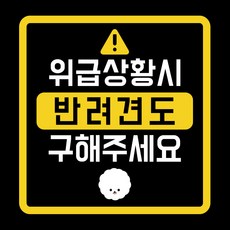 위급상황시 반려견도 구해주세요 차량용 스티커, 비숑, 1개