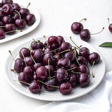 수플린 캐나다산 체리, 1개, 1kg