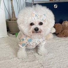 강아지카멜리아리본핀