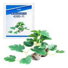 아쿠아비 맹그로브 인조 유목 수초 426D-11, 1개