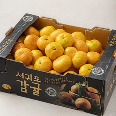 가족 감귤 로얄과, 5kg, 1개