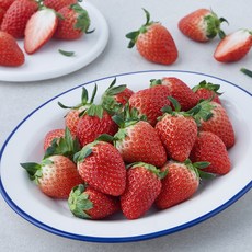 충남오감 논산 GAP 설향 딸기, 750g(중과), 1개