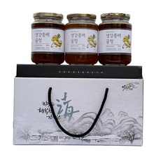 이고장식품 약도라지 꿀청 3종 선물 세트, 생강총백 꿀청 500g x 3p, 1세트