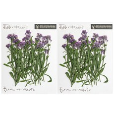 남원공방줄기꽃