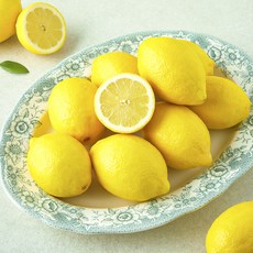 더네이처 칠레산 레몬, 1개, 2kg