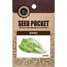 월드가드닝 정원 텃밭 좋은 씨앗 청로메인, 1개
