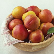 프레시픽 후무사 자두 대, 1개, 1kg