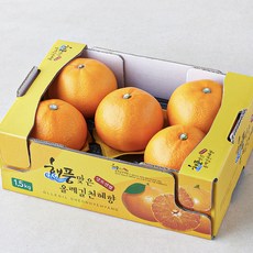 해풍맞은올레길 GAP 인증 당도선별 천혜향 대과 4~5입, 1.5kg, 1박스