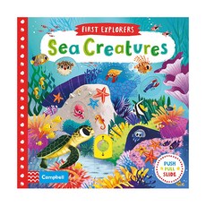 Sea Creatures, FirstExplorers - seacscreen