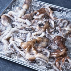 피시원 국내산 산지직송 생물낙지, 1kg, 1개