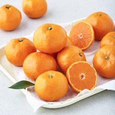 탑문주왕 당도선별 11brix 감귤, 800g(소과), 1박스
