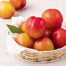 새벽경매 이화원 자두, 1팩, 500g
