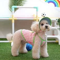 패리스독 강아지 썬캡 티셔츠, 핑크