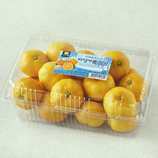 바당바름 GAP 인증 10brix 감귤 로열과, 1개, 1.5kg