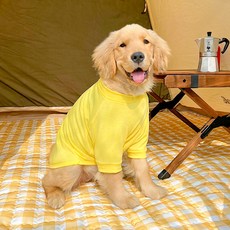 파스텔펫 강아지 대형견 베이직 티셔츠, 옐로우