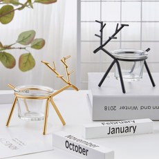 베르나르도캔들홀더