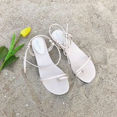 널디쪼리