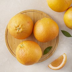 다조은 미국산 자몽, 1.5kg, 1개