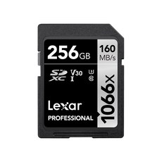 렉사 Professional 1066X SDXC UHS-I Cards, 256GB