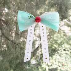 아스파시아 트윙클 리본 카네이션 인간화환 선물로 제가 왔어요 소, 민트, 1개
