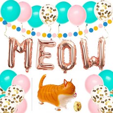 펫레스트생일파티키트