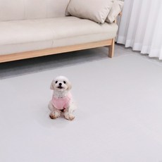 딩동펫 반려동물 미끄럼방지 롤매트