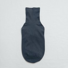 그레이하운드