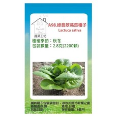 蔬菜工坊 綠翡翠萵苣種子 A98 2.8g, 2200個
