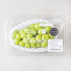 수플린 당도선별 아삭아삭 샤인머스켓, 1팩, 1kg(1~2수)