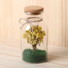 ROMANTIC NOVEMBER 霧花乾花透明瓶500ml, 黃色的