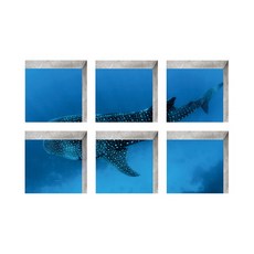 월드모먼트 미끄럼방지 욕조 스티커 13 x 13 cm 6종 세트, 30, 1개